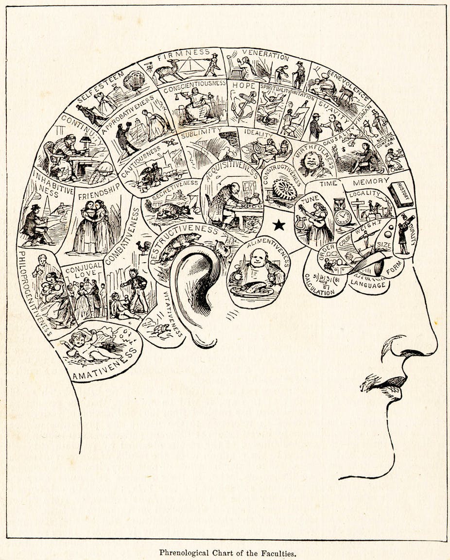 Phrenological Bust